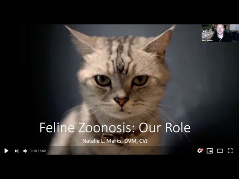Feline Zoonotic Disease: The Veterinarian's Role