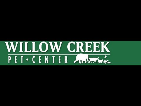 download lagu mp3 mp4 Willow Creek Vet, download lagu Willow Creek Vet gratis, unduh video klip Willow Creek Vet