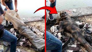 Vídeos perturbadores, não recomendados para pessoas sensíveis!