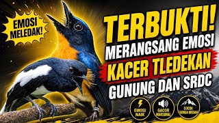 Download lagu TERBUKTI AMPUH TLEDEKAN GUNUNG FULL GACOR NGEROL BIKIN KACER DAN SRDC ESMOSI mp3