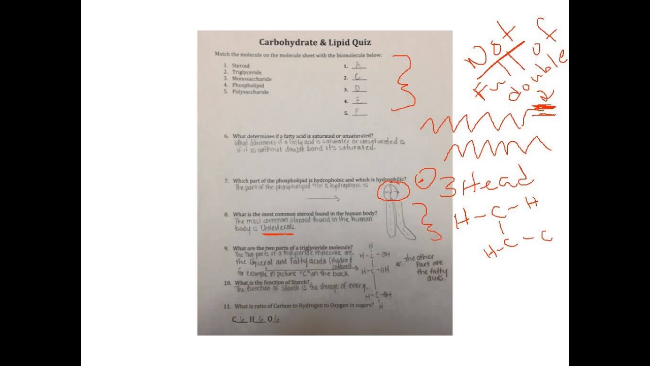 Biomolecule I Quiz Explained