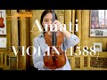 Amati Violin Mendelssohn 1588