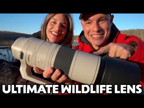 Why the Canon 200-800mm is the BEST lens for WILDLIFE Photography