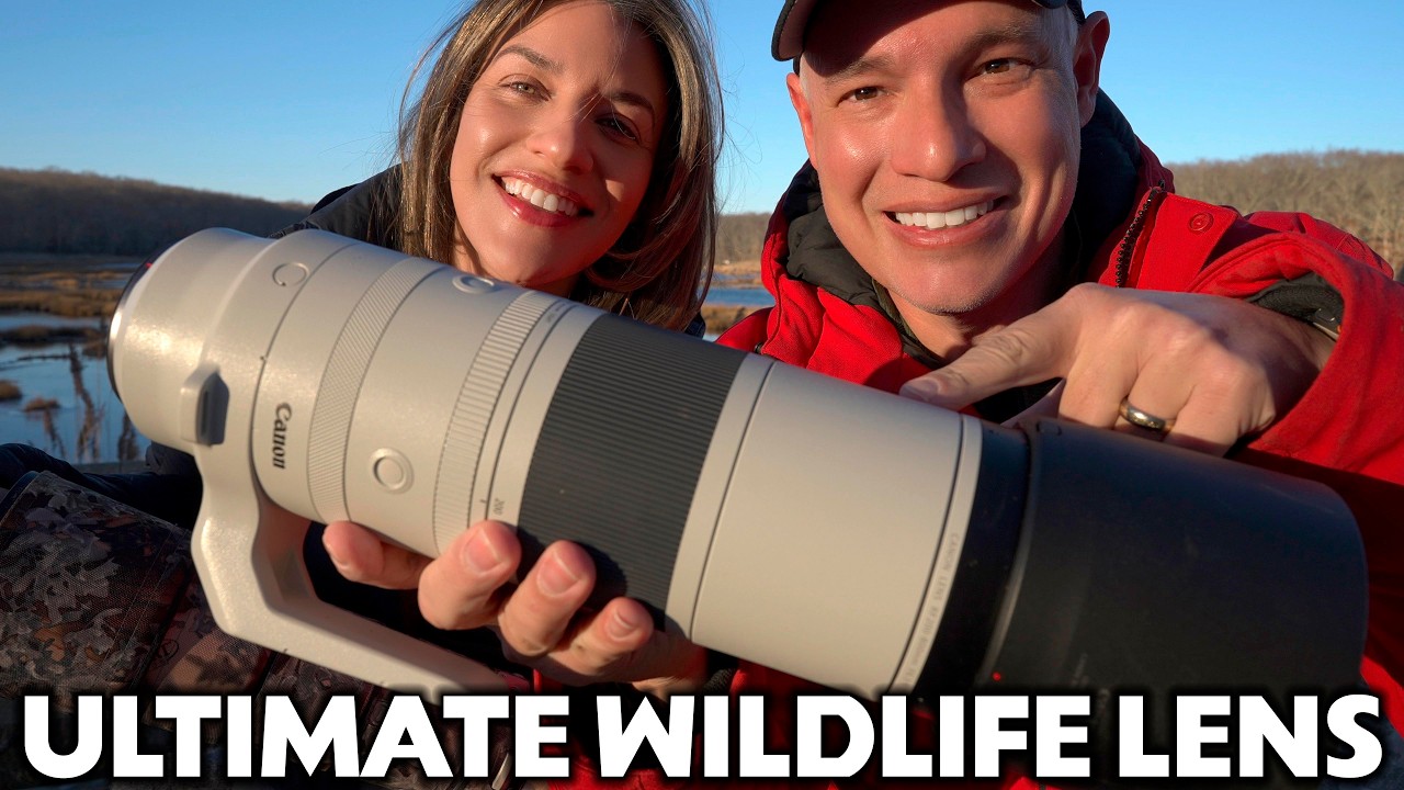 Video thumbnail for Video Review 2