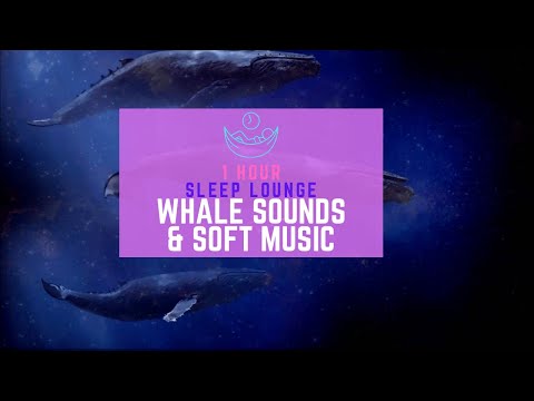 Space Whales Sing You To Sleep, Relax, Peaceful [1 HOUR] Ambient Sounds, Music, and Imagery