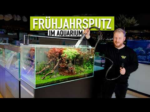 Frühjahrsputz für dein AQUARIUM?! Filterreinigung & Co - TUTORIAL! | KÖLLE ZOO
