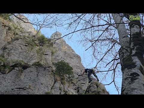 Faleza Sinaia 1300 - Pandemia 6a