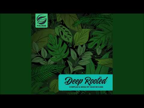 Reel People feat.Darien Dean - Upside (Sean McCabe Remix)