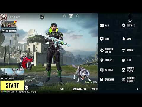 How To Disable Spectating Companion In PUBG Mobile