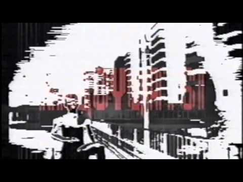 Break Science Projekt Seahorse