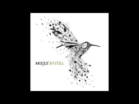 Fuzz (You Wish) Ft. Nightmares On Wax