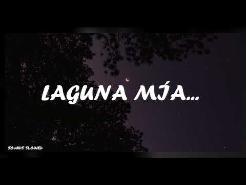 Arboles en el Tejado - Rupatrupa (Slowed + Lyrics)