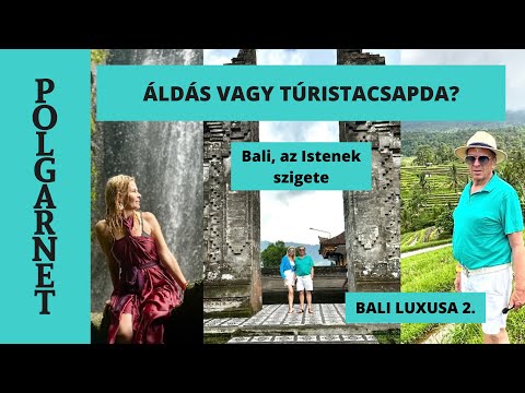 ÁRPI MÁSKÉNT TISZTA? ORDÍTOZÁS, RIZSTERASZOK és itt is TÁMADNAK AZ ORORSZOK! - Bali 2. | Polgarnet