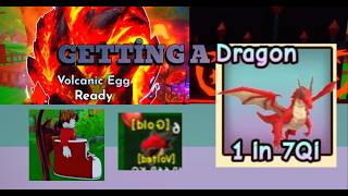 GETTİNG A DRAGON WAS ACTUALLY CRAZZZZYYYY