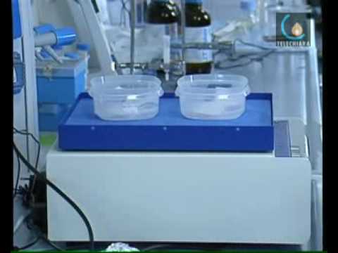 090505 UNA RICERCATRICE TRA LE DONNE ECCELLENTI DI PADOVA