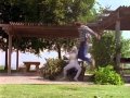 Mighty Morphin Power Rangers Billy Vs Goldar Z Putties