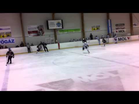 Jégmadarad& Jégenmeister 1