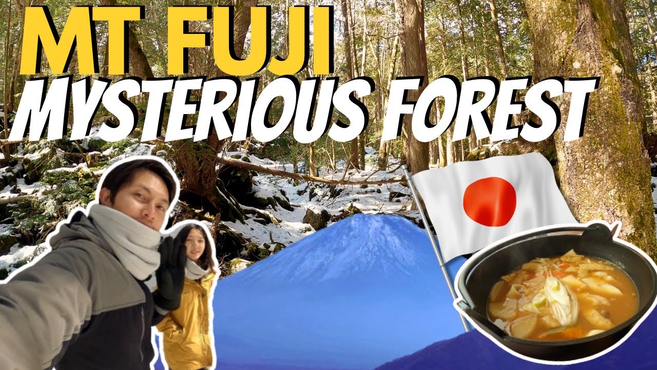 Walk through the enigmatic pathways of the Aokigahara Forest.