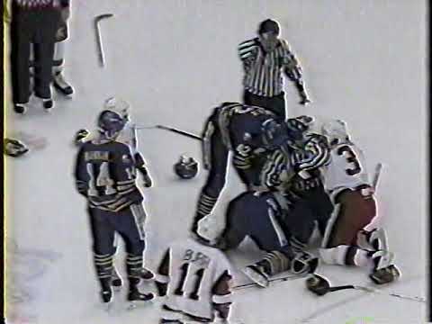 Rob Ray vs Terry Carkner and Sabres vs Red Wings scrum - Mar 6, 1994