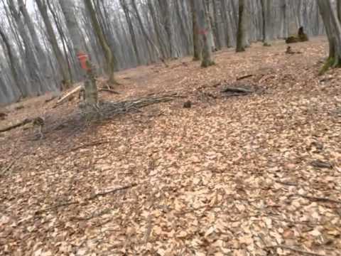 MTB  padure legatura intre Teline si Crit