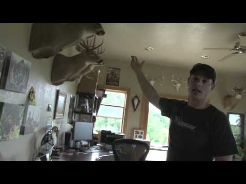 Todd Pringnitz Cribs - Wicked Tree Gear - White Knuckle Productions HQ
