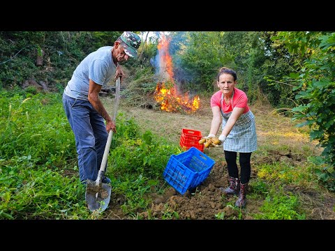 Delicious Moussaka ๐ฒ with Homegrown Potatoes ๐ฅ๐ฟ