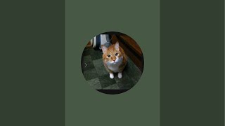 やっと 口を開いてみる