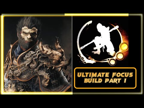 This Focus Build Hits SO HARD!