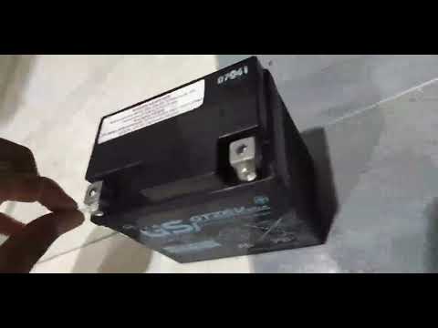 Vietnam Scooter battery August 2024