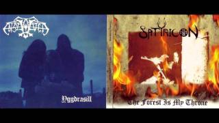 Satyricon - The Forest is My Throne