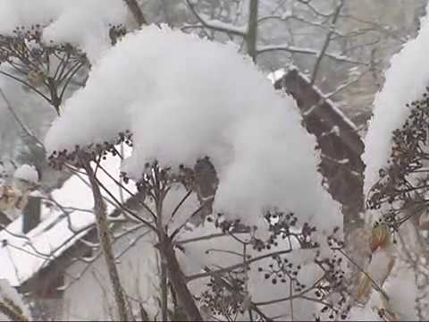 Wintergarten Moeriken für Wyder Gartenbau (2009)