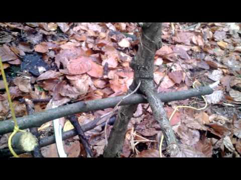 Schlingen Springfalle mit Zuggewicht