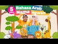 LAGU ANAK 5 MENIT BELAJAR NAMA HEWAN DALAM BAHASA ARAB SYAKI KISYA