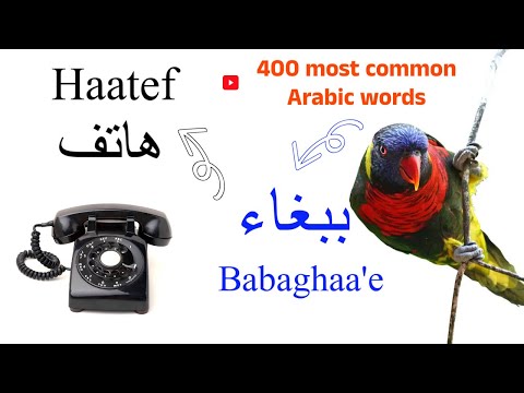 Practice Arabic - The 400 most common words in Arabic with pictures.