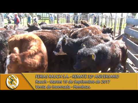 19-09-17 Venta de Hembras - Ferias Rauch S.A. - Remate 32º Aniversario - Rauch.