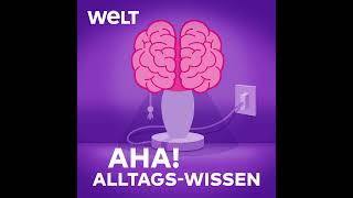 Wie verändern Magic Mushrooms unser Gehirn?