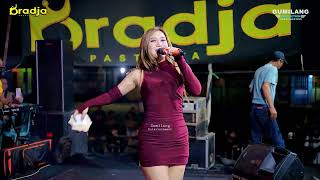 Download lagu D'RADJA PASTI AJA - TABOLA BALE - EVIS RENATA - HAPPY PARTY BOLO HORE - LAP. DESA SEDO DEMAK mp3