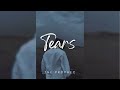 Tears | The Prophec | Slowed Reverb | New Punjabi Song | Chetan's Playlist