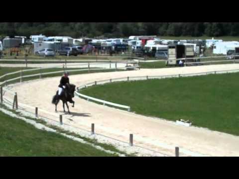 OSI Hirtenhof 2011 - Frauke Schenzel & Teigur F1 - isibless