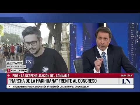 "Marcha de la marihuana" frente al Congreso. La reacción de Eduardo Feinmann