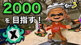 なんか計測うまくいったアサリ！盛るぞ！！【スプラトゥーン３】