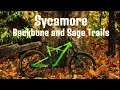 Backbone/Sage Trails