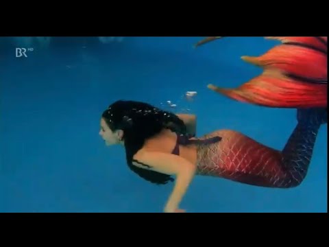 BR Abendschau vom 27.02.2023