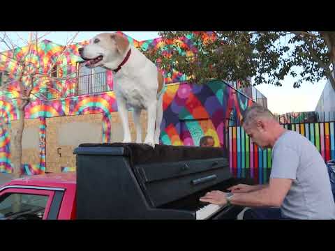 Piano Man Bill Forrest Plays Some Elite Syncopation on the Traveling Piano