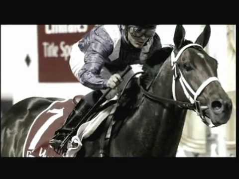 Invasor - Haras Santa Ines                  www.harassantaines.com