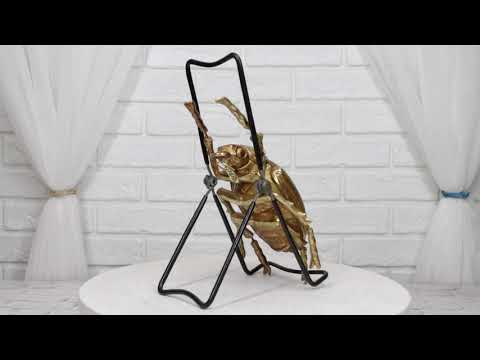 Ebros Large Gold Leaf Resin Scarab Dung Beetle Wall Sculpture Or Table Decor