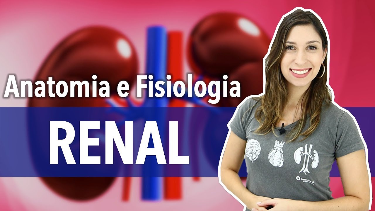 Sistema Excretor/Urinário: Aula 2/2. Anatomia e Fisiologia Renal