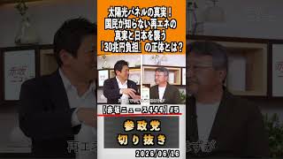 5 30兆円負担の正体とは？#神谷宗幣 #参政党 #参政党は止まらない #ひとりひとりが日本