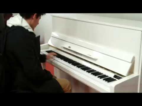 Thomas Krüger – Flashmob Piano Medley at French Airport Paris-Orly