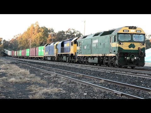 G523-XR558-G540 on 7901V roll into Dunolly at sunrise.   06-07-19.  07.51.20.